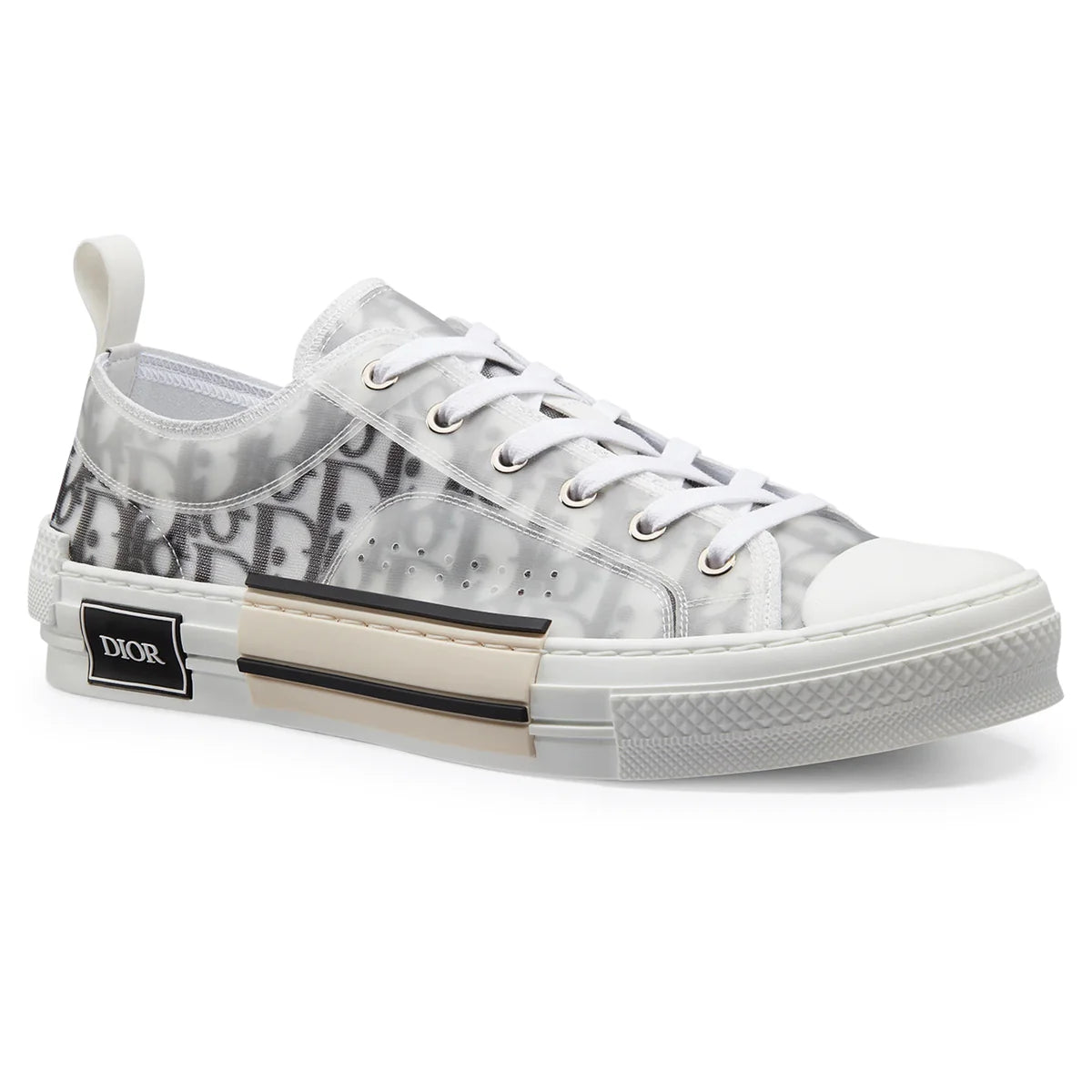 Dior B23 "Low Top"